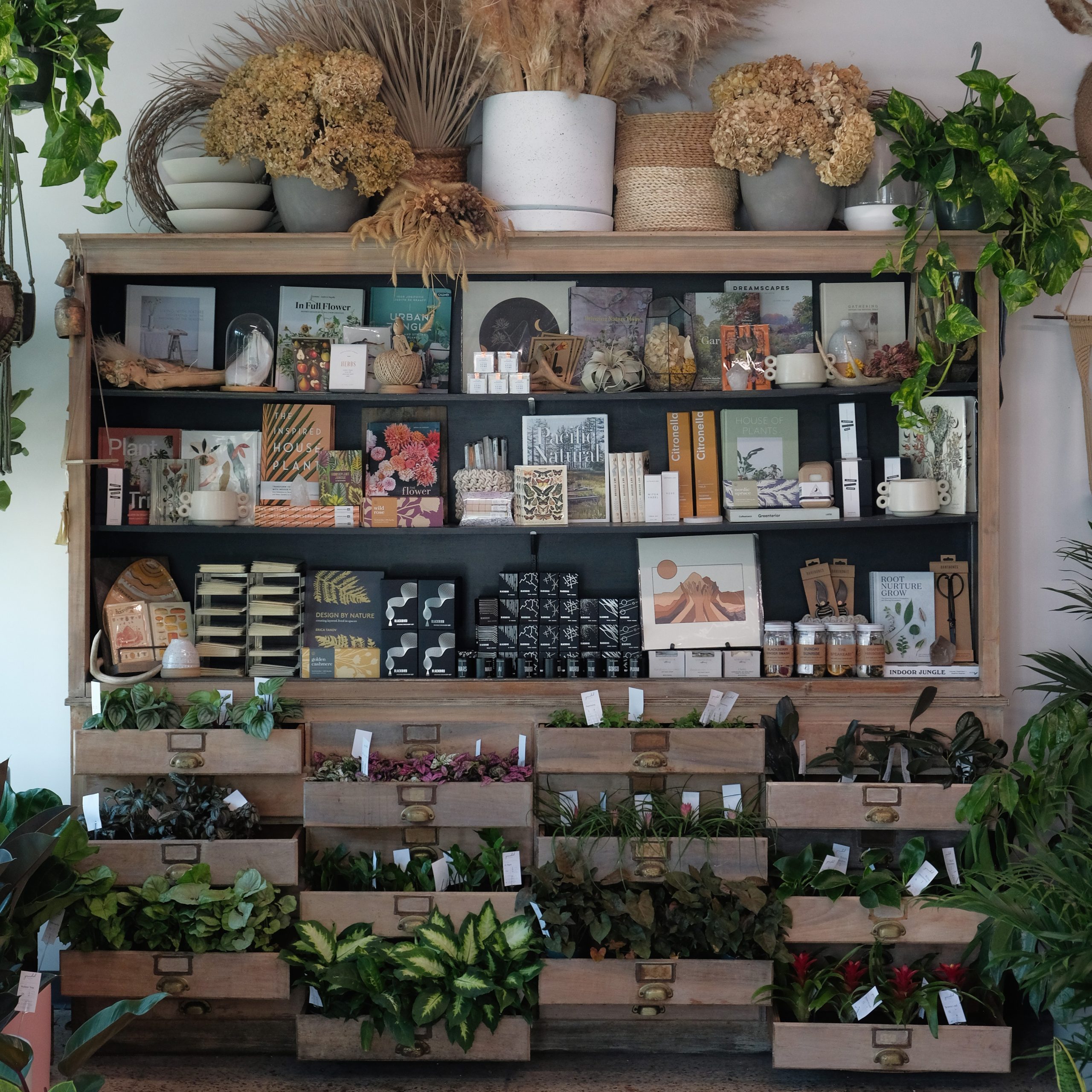 Display at Grounded Plant and Floral Co.