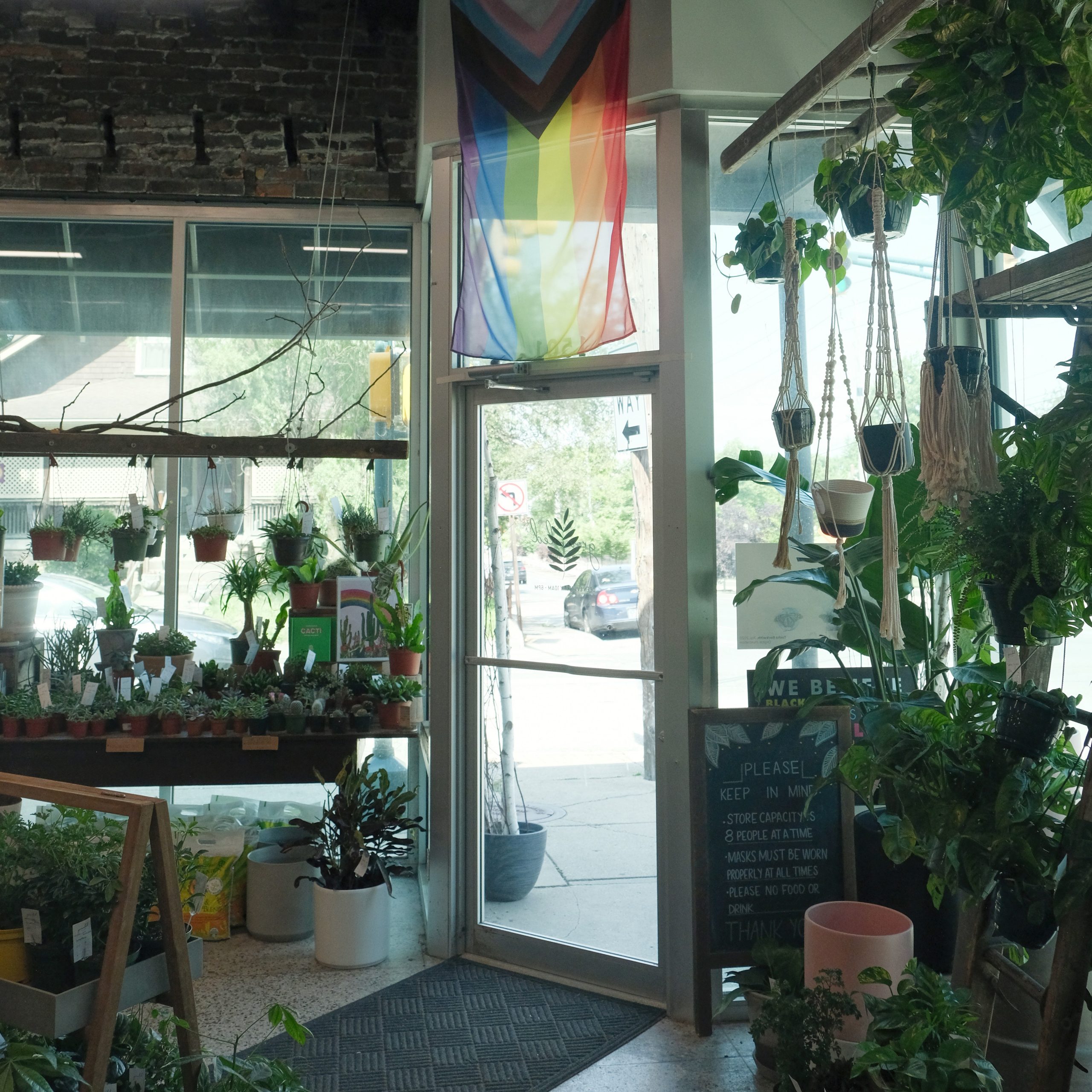 Entrance of Grounded Plant and Floral Co.